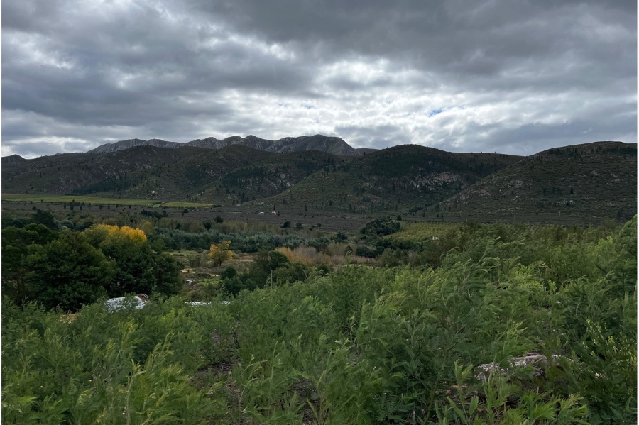 0 Bedroom Property for Sale in Haarlem Western Cape